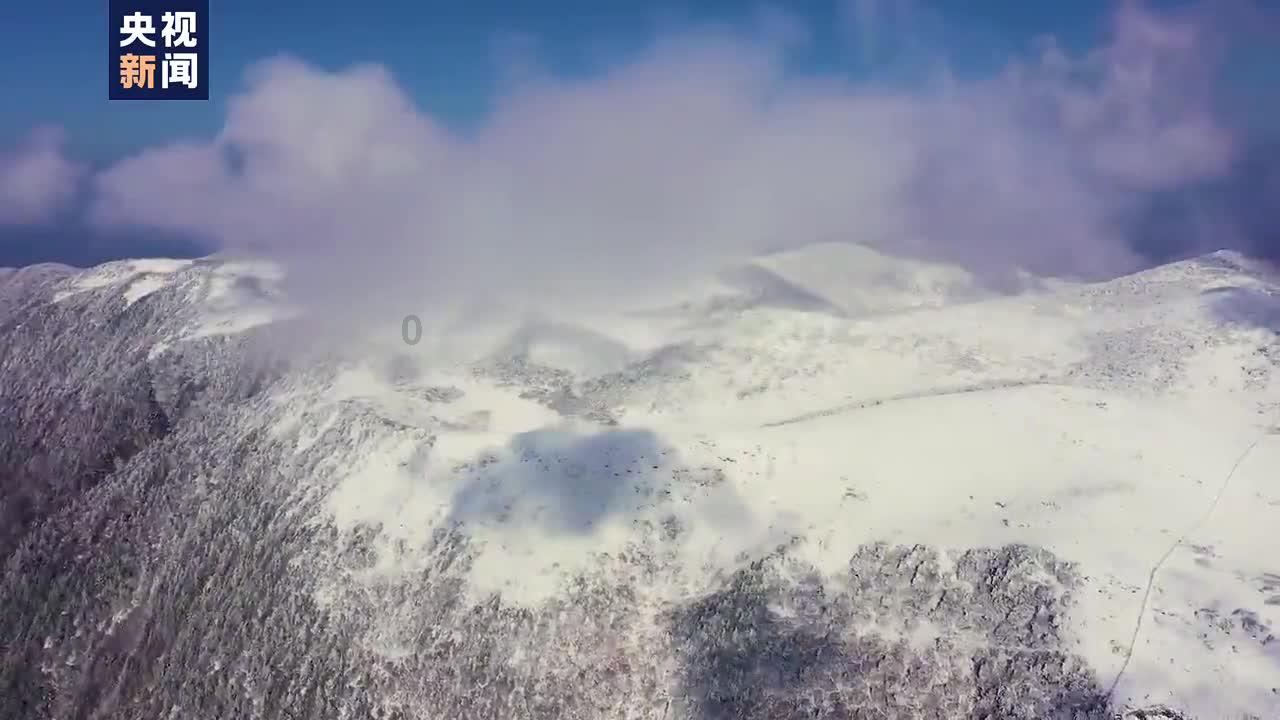 弹球扣篮